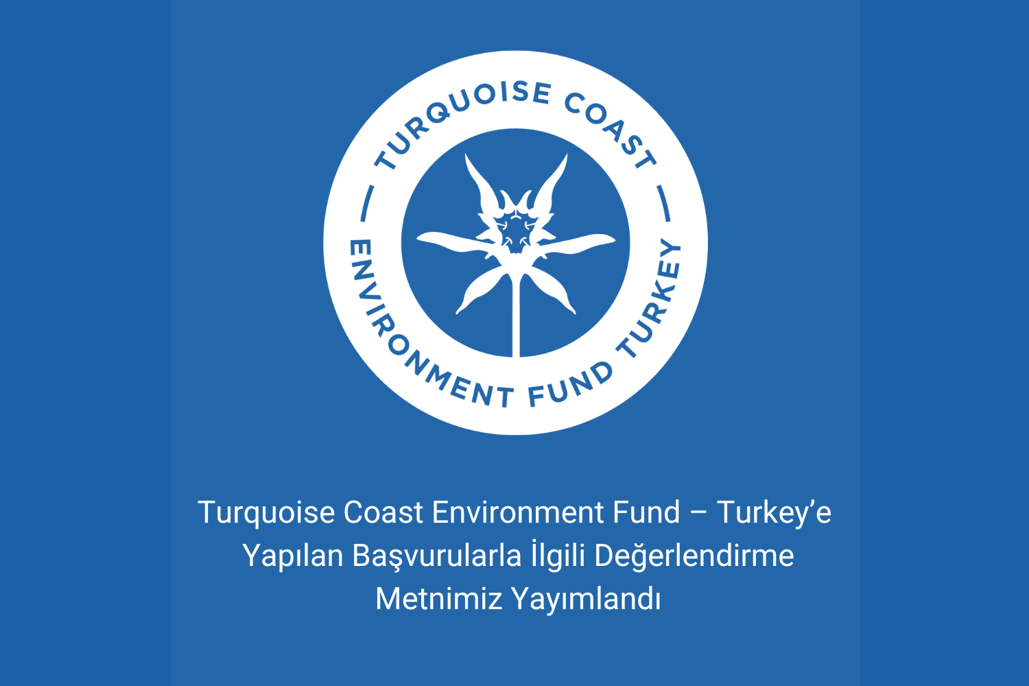 Turquoise Coast Environment Fund – Turkey Hibe Programına Yapılan Başvurularla İlgili Değerlendirme Metnimiz Yayımlandı
